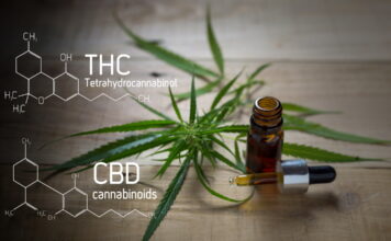 What is CBD? The facts and guidelines