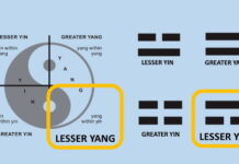 Diagnosis of a Lesser Yang Warm Constitution 소양인의 특성