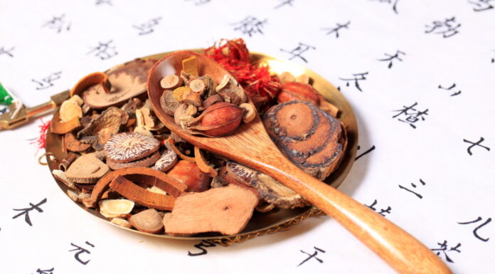 The Fu Zi Cures Severe Degree of Aversion to Cold and Cold Limbs.