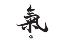 DONGUIBOGAM; Internal Bodily Elements-Qi 氣 기 (2)