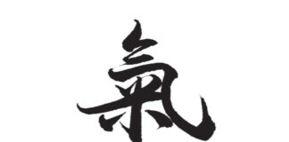 DONGUIBOGAM; Internal Bodily Elements-Qi 氣 기 (2)
