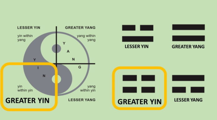 Diagnosis of a Greater Yin Dry Type