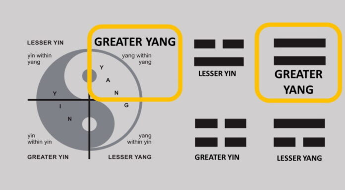 Diagnosis of a Greater Yang Damp Type
