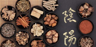 DONGUIBOGAM; Internal Bodily Elements-Qi 氣 기 (4)