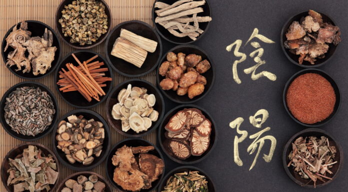 DONGUIBOGAM; Internal Bodily Elements-Qi 氣 기 (4)