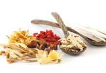 DONGUIBOGAM; Internal Bodily Elements-05 Spirit ∙ 神 신 (1)