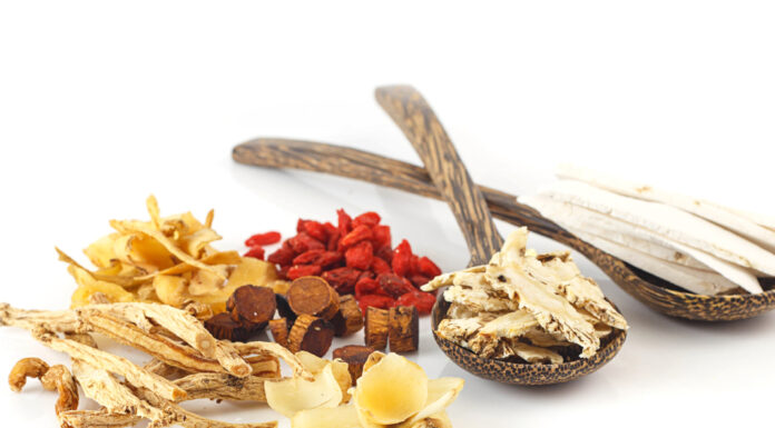 DONGUIBOGAM; Internal Bodily Elements-05 Spirit ∙ 神 신 (1)