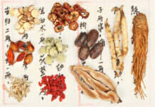 DONGUIBOGAM; Internal Bodily Elements-Qi 氣 기 (8) Common Medicinals for Treating Qi 通治氣藥 기를 두루 치료하는 약