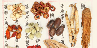 DONGUIBOGAM; Internal Bodily Elements-Qi 氣 기 (8) Common Medicinals for Treating Qi 通治氣藥 기를 두루 치료하는 약