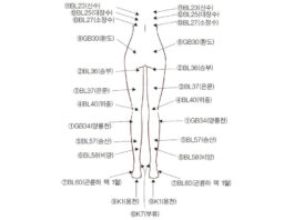 How the Chugoongtongrak Technique Treats Paraplegia and Chronic Knee Pain