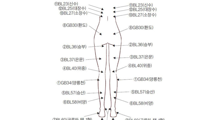 Applications of Chugoongtongrak Technique: Severe Paraplegia and knee pain without severe worn out of the knee cartridge