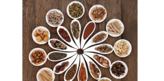 DONGUIBOGAM; Internal Bodily Elements-05 Spirit ∙ 神 신 (2)