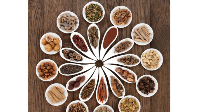 DONGUIBOGAM; Internal Bodily Elements-05 Spirit ∙ 神 신 (2)