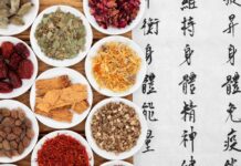 DONGUIBOGAM; Internal Bodily Elements-05 Spirit ∙ 神 신 (6)