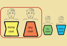 Psychology of Sasang Constitutions-There Are Two Soeumin Subgroups: Soeumin 1 and 2