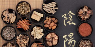 Finding A Guiding Herb Makes Easier to Find the Most Efficient Formula ⑪ Long Gu and Mu Li ②