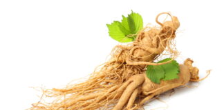 Finding A Guiding Herb Makes Easier to Find the Most Efficient Formula ⑬ 人蔘 Ren Shen 2