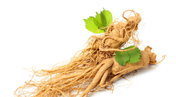 Finding A Guiding Herb Makes Easier to Find the Most Efficient Formula ⑬ 人蔘 Ren Shen 2