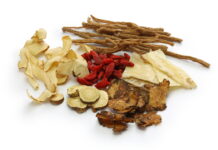 DONGUIBOGAM; Internal Bodily Elements-06. Blood (2)