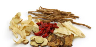 DONGUIBOGAM; Internal Bodily Elements-06. Blood (2)