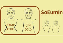 Body Shape of Soeumin Sasang Constitution
