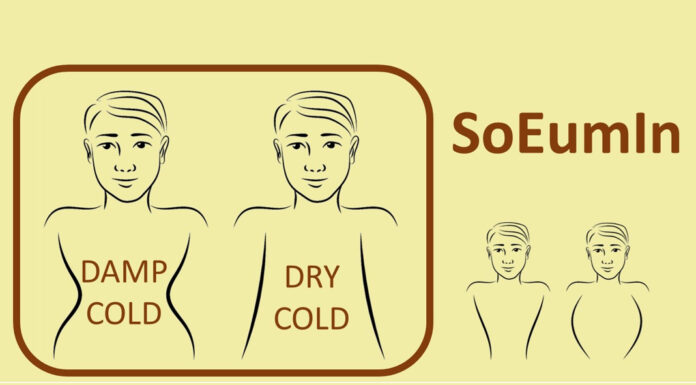 Body Shape of Soeumin Sasang Constitution