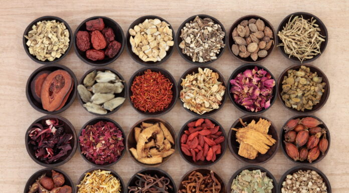 DONGUIBOGAM; Internal Bodily Elements-07. Dream (2)