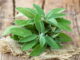 American Herbal Medicine ⑨ Sage Fume Could Kill Bacteria In The Air And Suppressing Propagation.