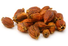 Zhizixhi-Tang Treats Jaundice, Edema, Palpitation, and Various Bleedings