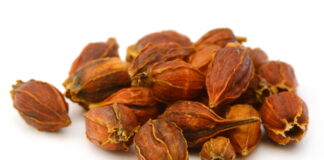 Zhizixhi-Tang Treats Jaundice, Edema, Palpitation, and Various Bleedings