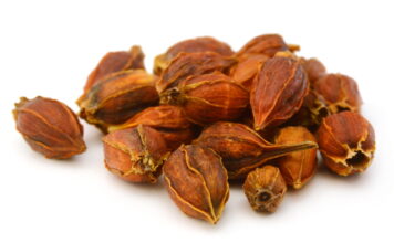 Zhizixhi-Tang Treats Jaundice, Edema, Palpitation, and Various Bleedings