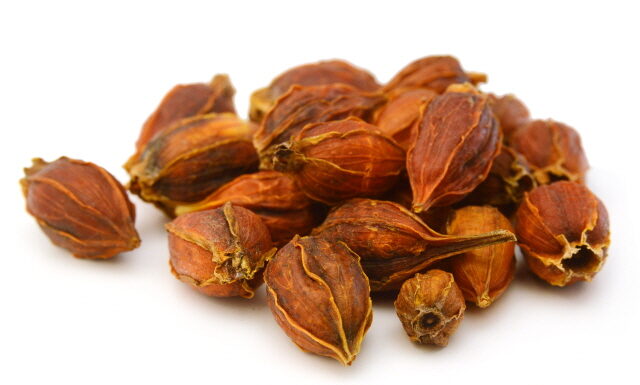 Zhizixhi-Tang Treats Jaundice, Edema, Palpitation, and Various Bleedings