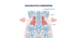 How To Treat a Lopsided Body With Low Back Pain △Suppose a patient can perform a side-lying quadratus lumborum stretch. In that case, it adds another layer of relief along with acupuncture treatments. imageⓒshutterstock_VectorMine