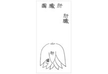 DONGUIBOGAM; Internal Bodily Elements-13. Treatment Methods for Liver Disease