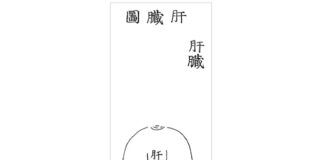 DONGUIBOGAM; Internal Bodily Elements-13. Treatment Methods for Liver Disease