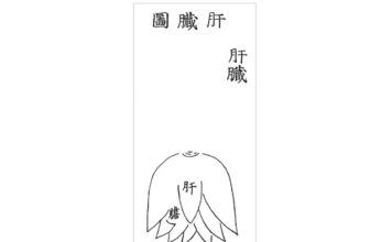 DONGUIBOGAM; Internal Bodily Elements-13. Treatment Methods for Liver Disease