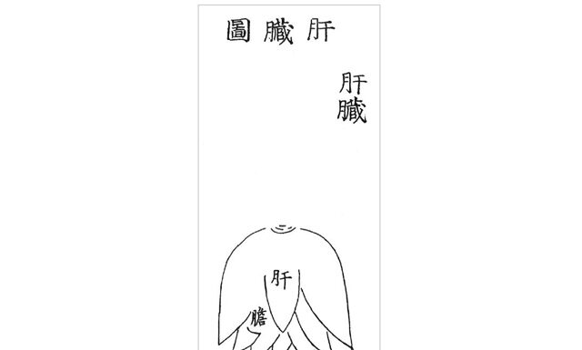 DONGUIBOGAM; Internal Bodily Elements-13. Treatment Methods for Liver Disease