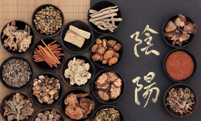 DONGUIBOGAM; Internal Bodily Elements 34. Urine 小便 소변 (6) Five Strangury Diseases