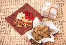 DONGUIBOGAM; Internal Bodily Elements-17. Lungs 肺臟 폐 (2)