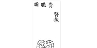 DONGUIBOGAM; Internal Bodily Elements 21. Kidneys-Symptoms of Kidney Disease