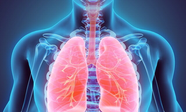DONGUIBOGAM; Internal Bodily Elements 20. Lungs 肺臟 폐 (2) Treatment Methods for Lung Disease