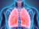 DONGUIBOGAM; Internal Bodily Elements 20. Lungs 肺臟 폐 (2) Treatment Methods for Lung Disease
