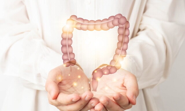 DONGUIBOGAM; Internal Bodily Elements 25. Large Intestine 大腸腑 대장