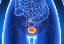 DONGUIBOGAM; Internal Bodily Elements 26. Bladder 膀胱腑 방광