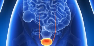 DONGUIBOGAM; Internal Bodily Elements 26. Bladder 膀胱腑 방광