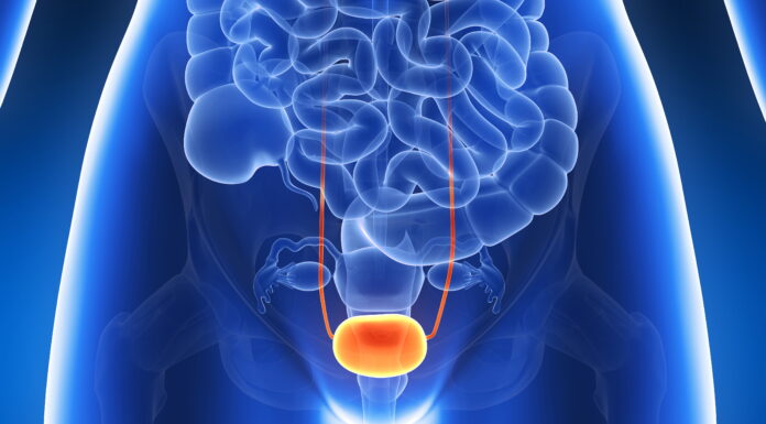 DONGUIBOGAM; Internal Bodily Elements 26. Bladder 膀胱腑 방광