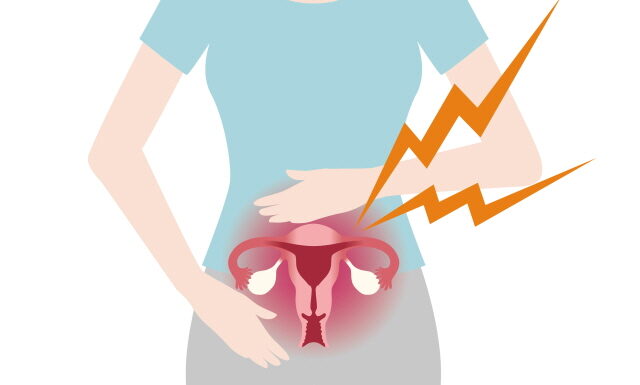 DONGUIBOGAM; Internal Bodily Elements 28. Uterus 胞 포