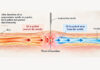 Underlying Theories of Acupuncture Treatment ① Understanding How Qi Moves Through the Meridians