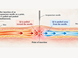 Underlying Theories of Acupuncture Treatment ① Understanding How Qi Moves Through the Meridians