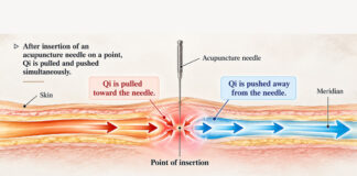 Underlying Theories of Acupuncture Treatment ① Understanding How Qi Moves Through the Meridians
